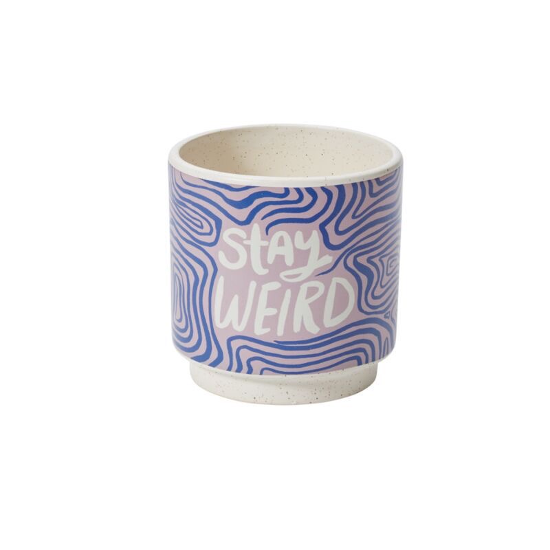 Triple Delight(Set of 3)
