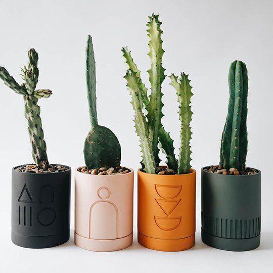 Spring Planter (SET OF 5)