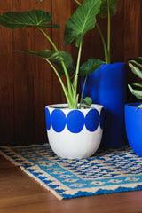 Bloom Buddy (Set of 5)