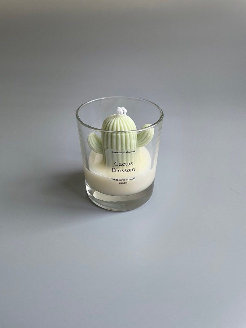 Cactus Candles in jar