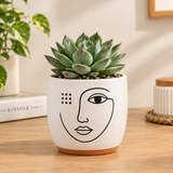 The Visage Planter(Set of 3)