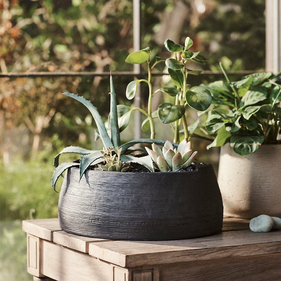 Low Bowl Planter