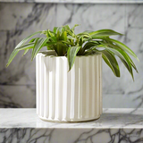 Nature Embrace