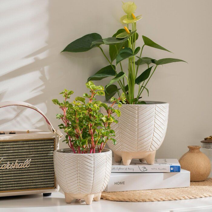 Classic planter (Set Of 2)