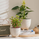 Classic planter (Set Of 2)