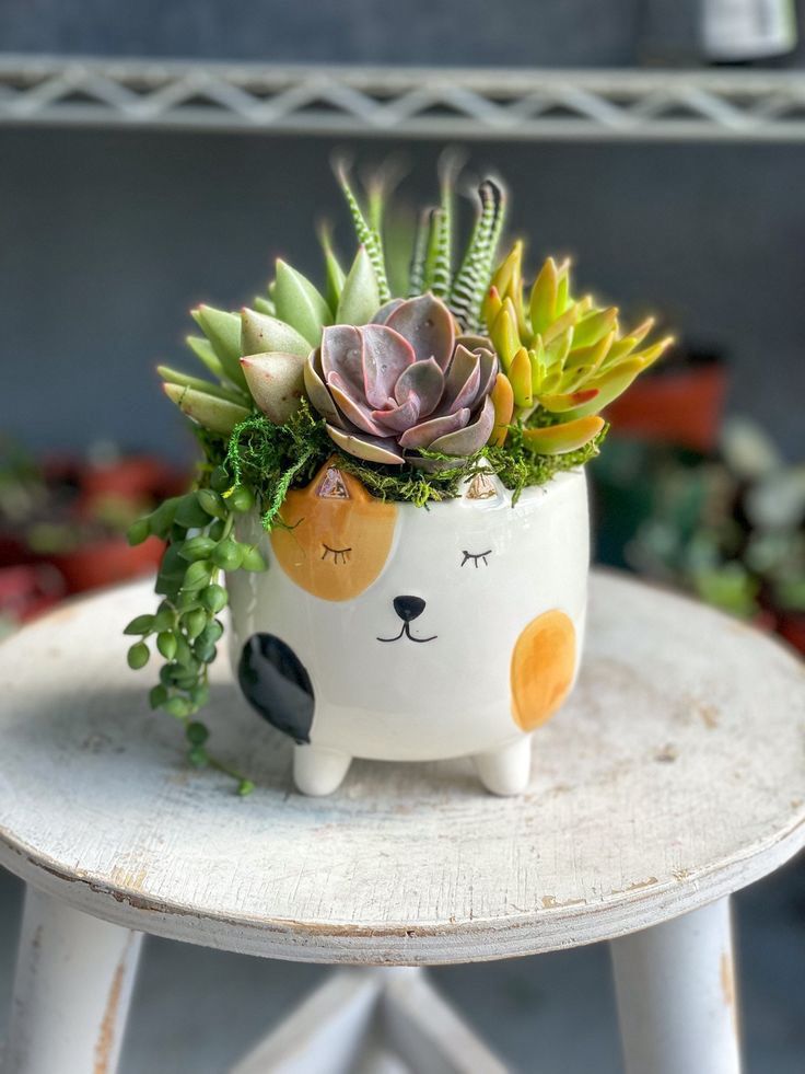 Spark Dazzle Cat Shape Planter