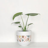 The Terrazzo Pot Planter (Set of 2)