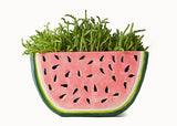 Watermelon and Orange Shape planter