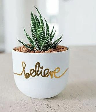 Believe planter
