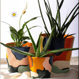 Cameo Bundle Planter (Set Of 3)