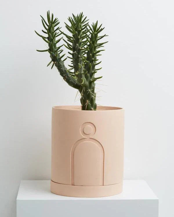 Spring Planter (SET OF 5)