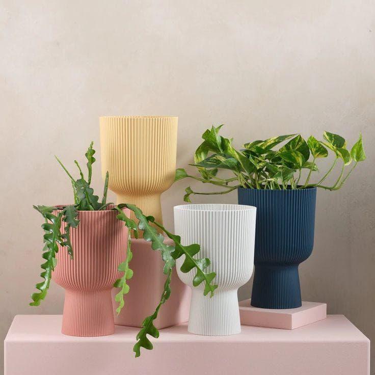 Rigged planter (Set of 4)